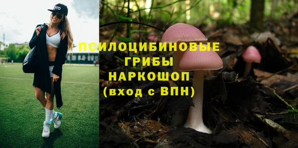 тгк Заводоуковск