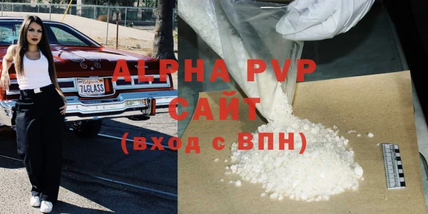 ГАЛЛЮЦИНОГЕННЫЕ ГРИБЫ Заволжье
