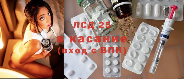 прущие грибы Гатчина