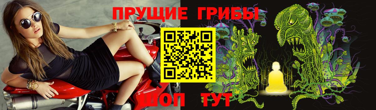 Кандалакша  Псилоцибиновые грибы Cubensis  продажа наркотиков  Вход с VPN 