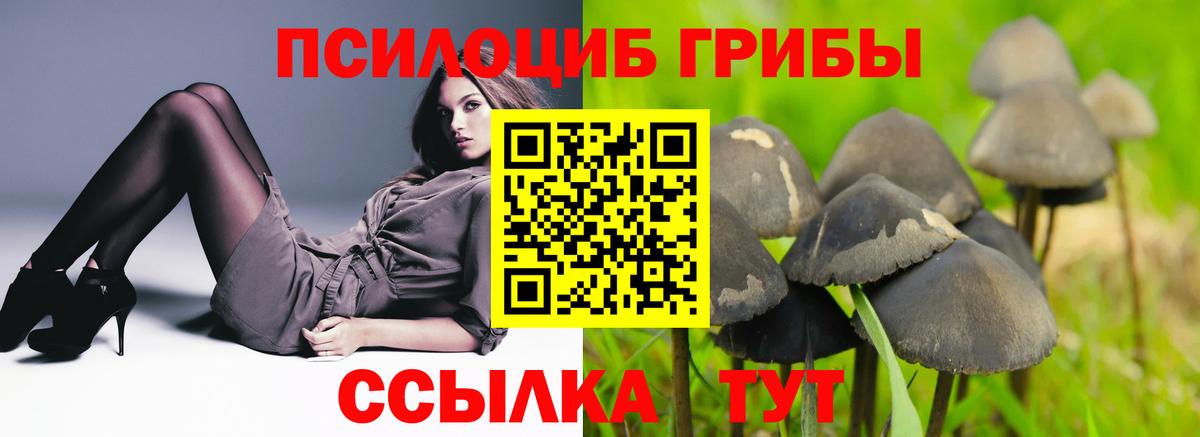 Псилоцибиновые грибы ЛСД Кандалакша