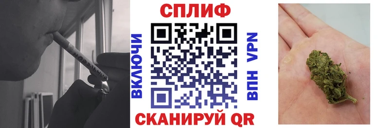 Бошки марихуана сатива  Кандалакша 